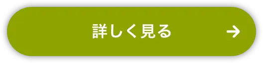 詳しく見る
