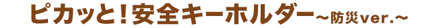ピカッと！安全キーホルダー 〜防災ver.〜