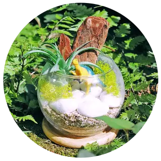 恐竜の人気商品ランキング 3位『グラスガーデン 恐竜ver.』