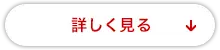 詳しく見る