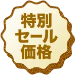特別セール価格