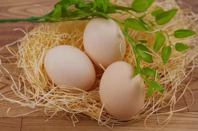イースターについて解説する記事の卵が3つ並んだ写真