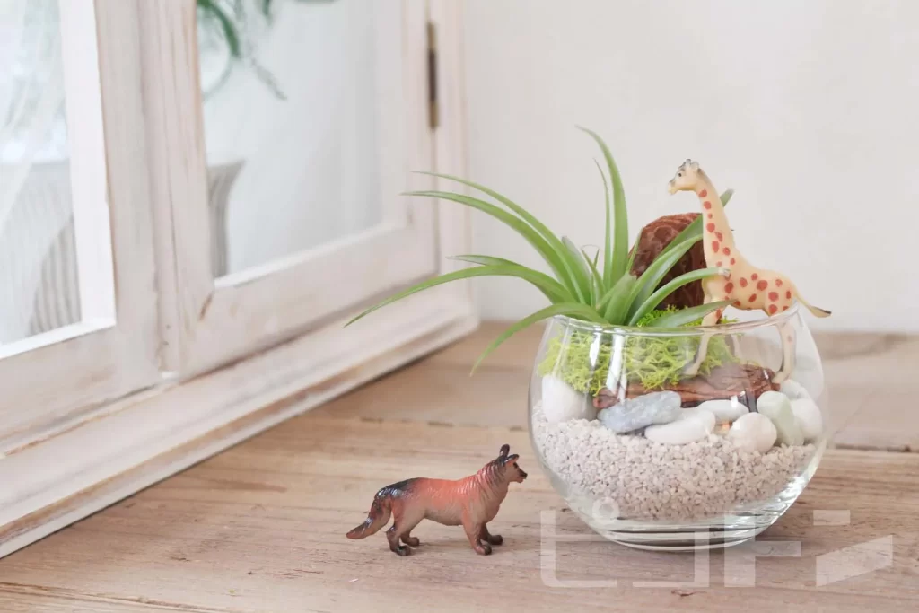 ナチュラルな雰囲気の『グラスガーデン』