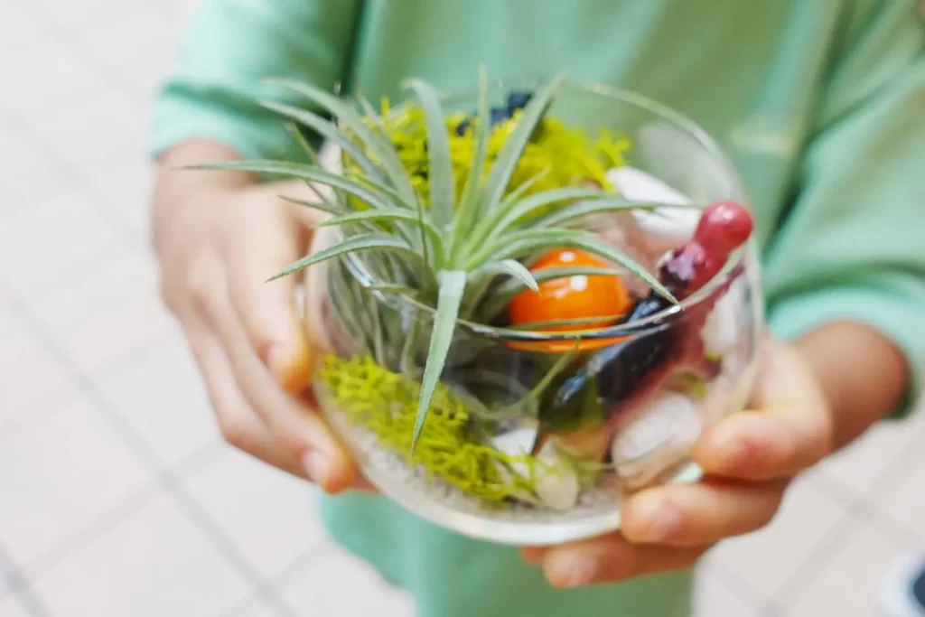 『グラスガーデン』の完成品を持つ男の子の手元