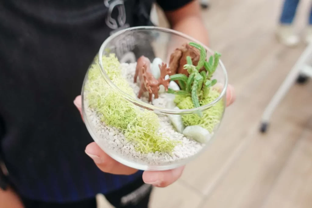 『グラスガーデン』をm持つ手元