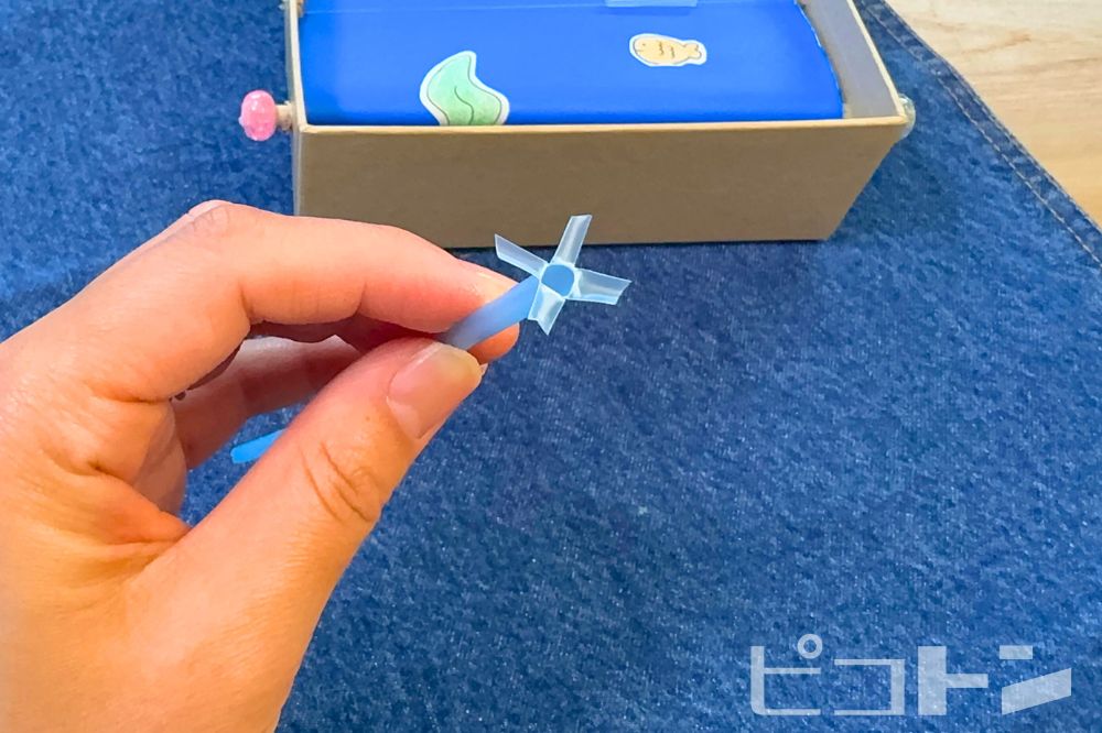 切ったところを開いたところ