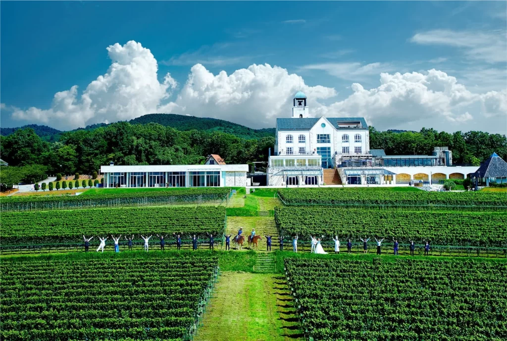 中伊豆ワイナリーヒルズ