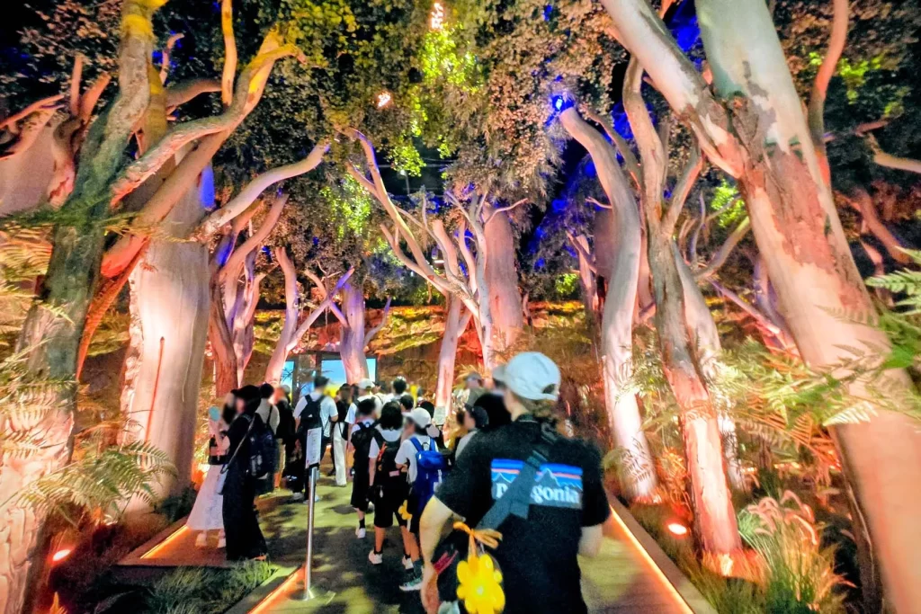 広大な森を再現「オーストラリア館」