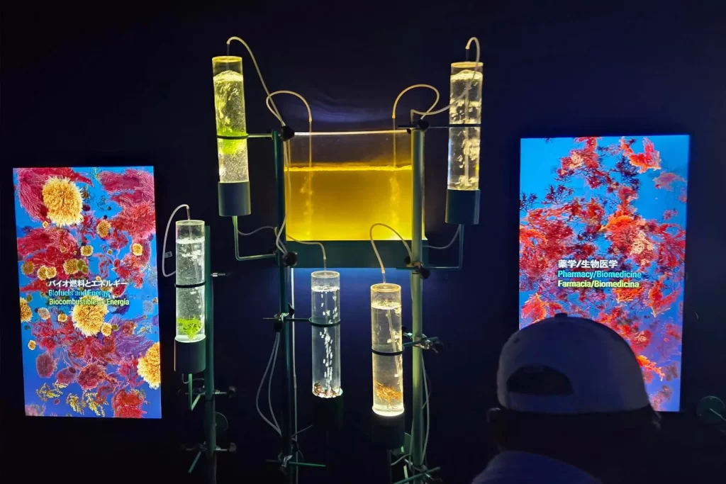 スペイン館では藻の研究を紹介。カラフルな液体が光に照らされ、未来的なラボのよう
