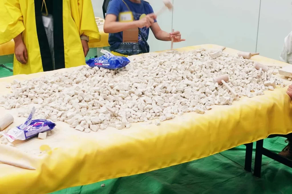 SOZOWフェスの化石発掘体験