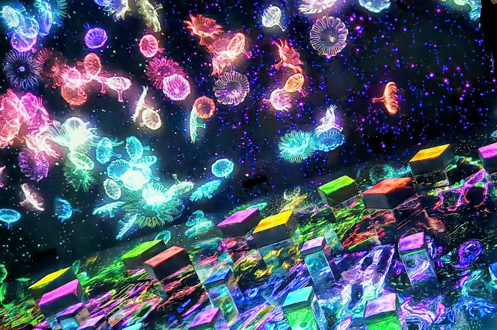 チームラボ豊洲の新スポットのクラゲエリア