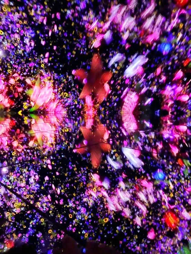 チームラボプラネッツTOKYO 豊洲の「Floating in the Falling Universe of Flowers」