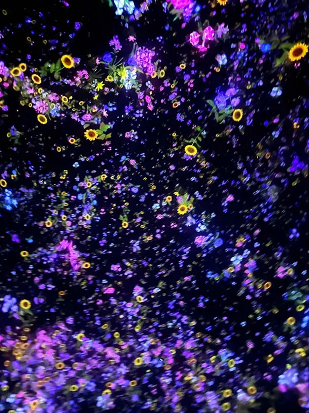 チームラボプラネッツTOKYO 豊洲の「Floating in the Falling Universe of Flowers」