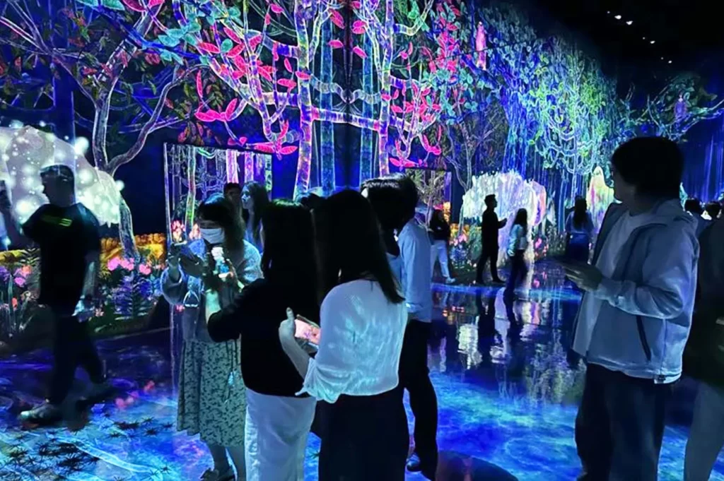 チームラボプラネッツTOKYO 豊洲「つかまえて集める絶滅の森」の会場