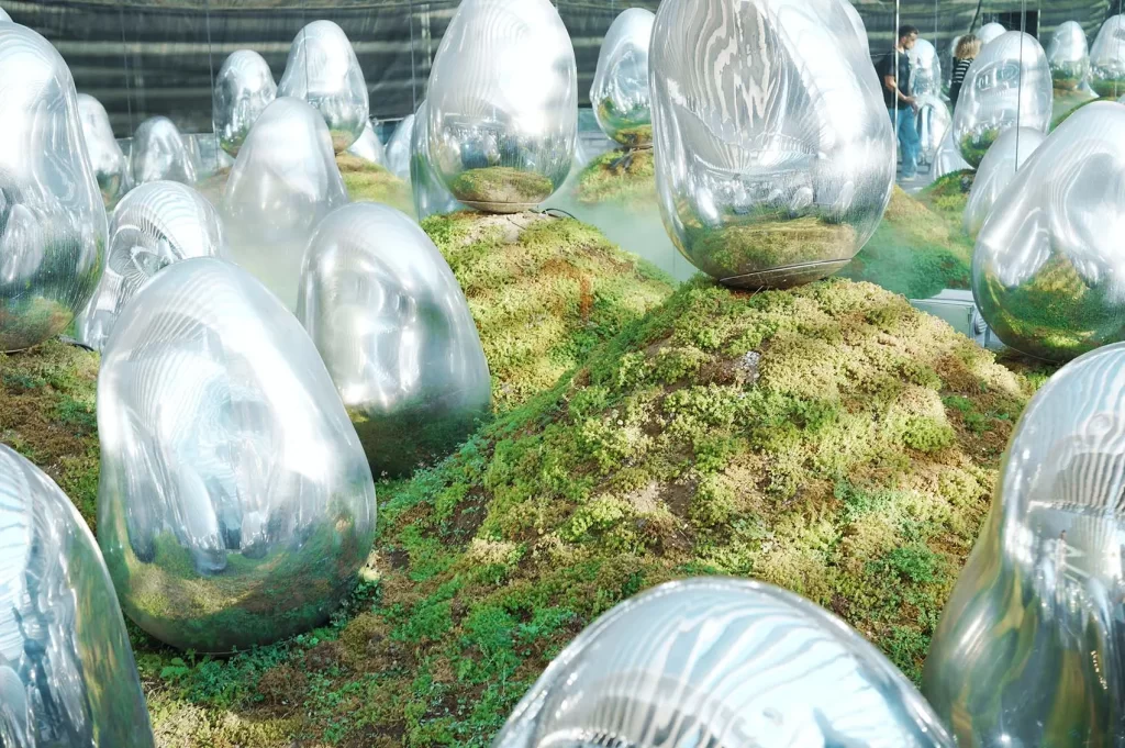 チームラボプラネッツTOKYO 豊洲「呼応する小宇宙の苔庭 - 固形化された光の色」