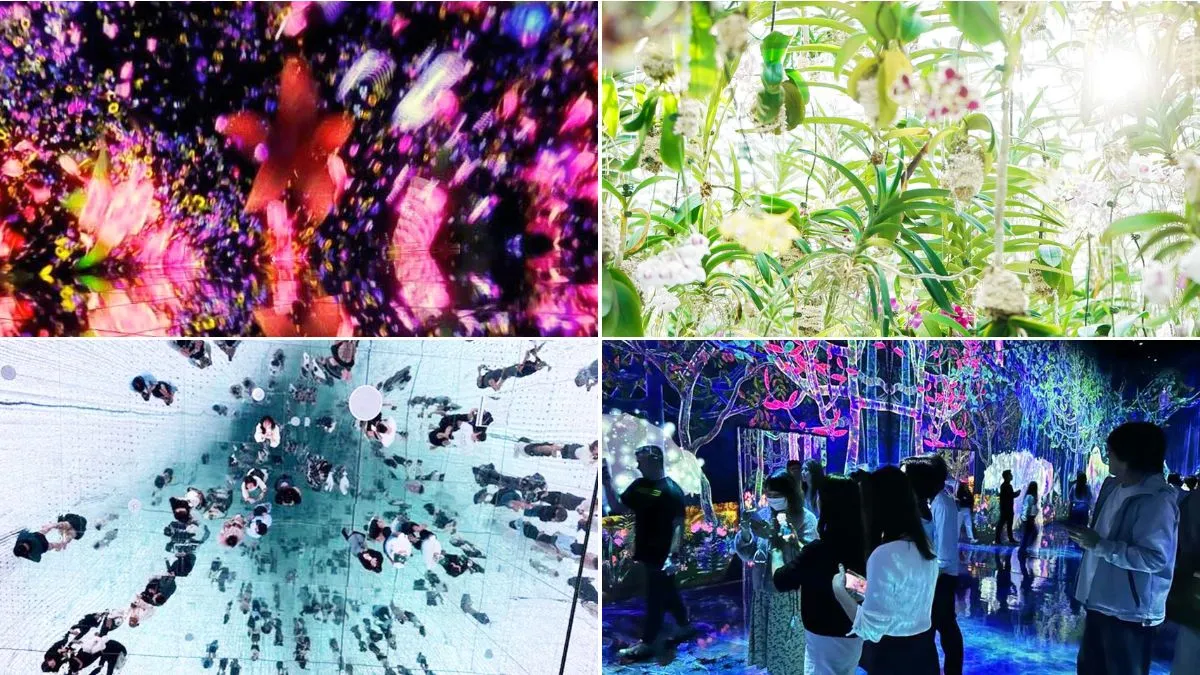 チームラボTOKYO豊洲の記事サムネイル