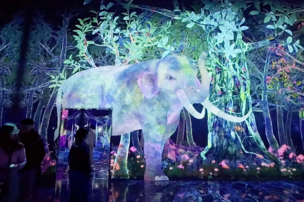 チームラボプラネッツTOKYO 豊洲「つかまえて集める絶滅の森」の会場