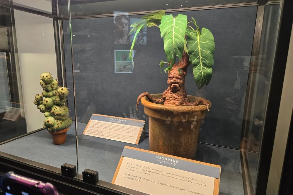 ワーナー ブラザース スタジオツアー東京 – メイキング・オブ・ハリー・ポッター　展示